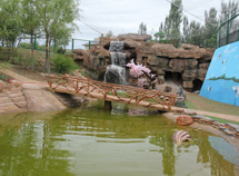 百鳥園鳥語林豐容