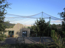 百鳥園鳥語林天網(wǎng)