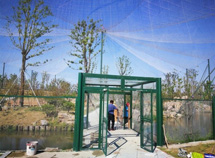 百鳥(niǎo)園鳥(niǎo)語(yǔ)林天網(wǎng)