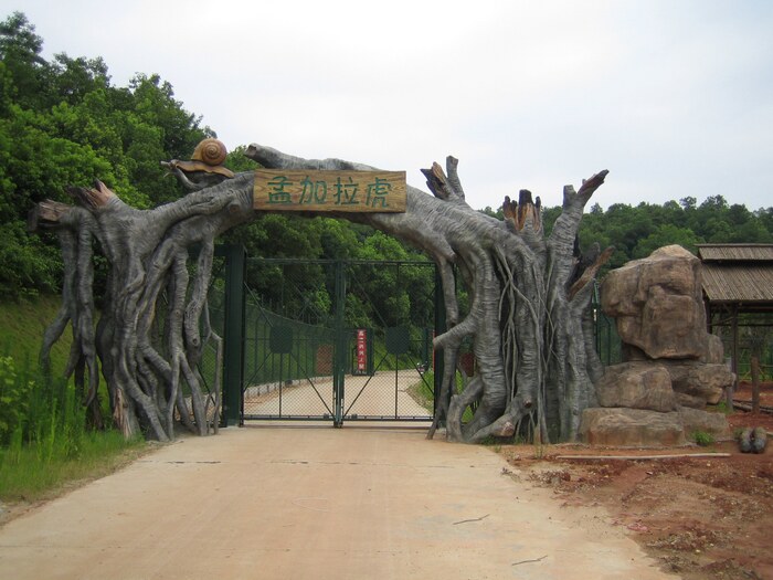 動(dòng)物園車行區(qū)電動(dòng)門景觀豐容