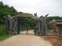 動(dòng)物園車(chē)行區(qū)電動(dòng)門(mén)景觀豐容