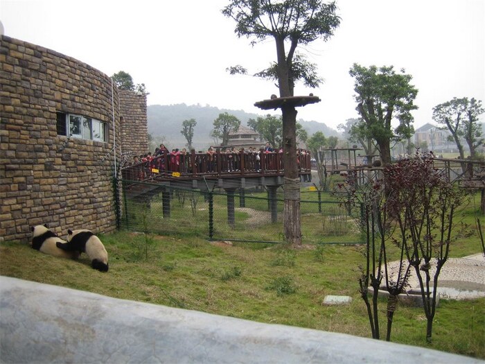 熊貓館