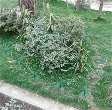 動物電草(草型電網(wǎng))