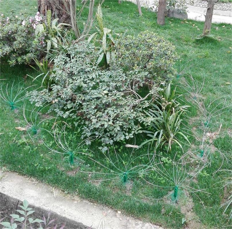 動物電草(草型電網(wǎng))